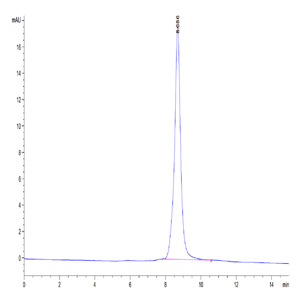 Human HMGB1 Protein (HMG-HM1B1) Human HMGB1 Protein (HMG-HM1B1)