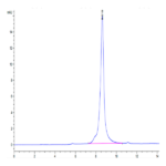 Biotinylated Human HMGB1 Protein (Primary Amine Labeling) (HMG-HM1B1B)