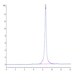 Biotinylated Human HMGB1 Protein (Primary Amine Labeling) (HMG-HM1B1B)