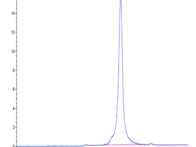 Biotinylated Human HMGB1 Protein (Primary Amine Labeling) (HMG-HM1B1B)