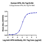 Human HPN Protein (HPN-HM101)