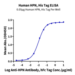 Human HPN Protein (HPN-HM101)