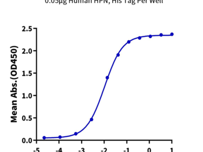 Human HPN Protein (HPN-HM101)