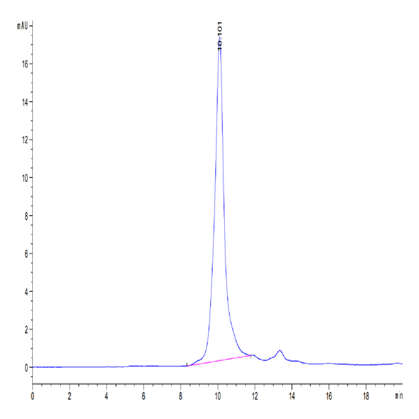 Human HPN Protein (HPN-HM101)