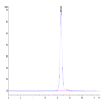 Human HPX Protein (HPX-HM101)