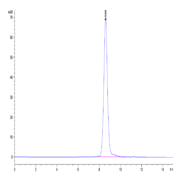 Human HPX Protein (HPX-HM101)