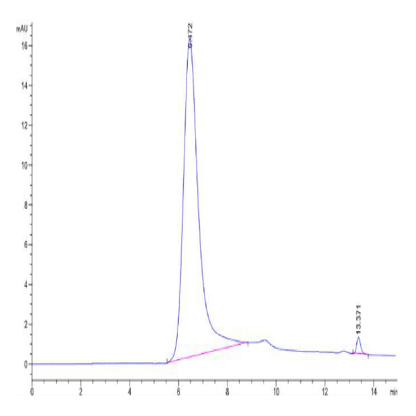 Human Hsp27/HSPB1 Protein (HSP-HE001) Human Hsp27/HSPB1 Protein (HSP-HE001)