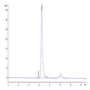 Human HSP70 Protein (HSP-HE170)