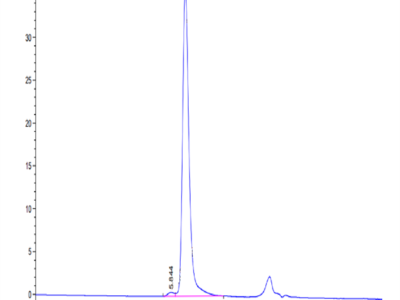 Human HSP70 Protein (HSP-HE170)