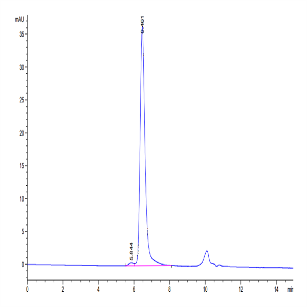 Human HSP70 Protein (HSP-HE170)