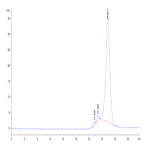 Human Hyaluronidase 2/HYAL2 Protein (HYA-HM101)