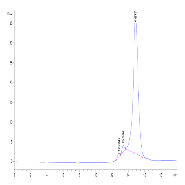 Human Hyaluronidase 2/HYAL2 Protein (HYA-HM101)