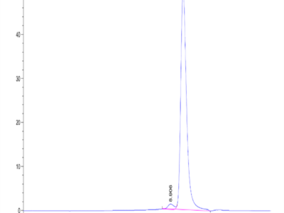 Mouse Hyaluronidase 2/HYAL2 Protein (HYA-MM101)