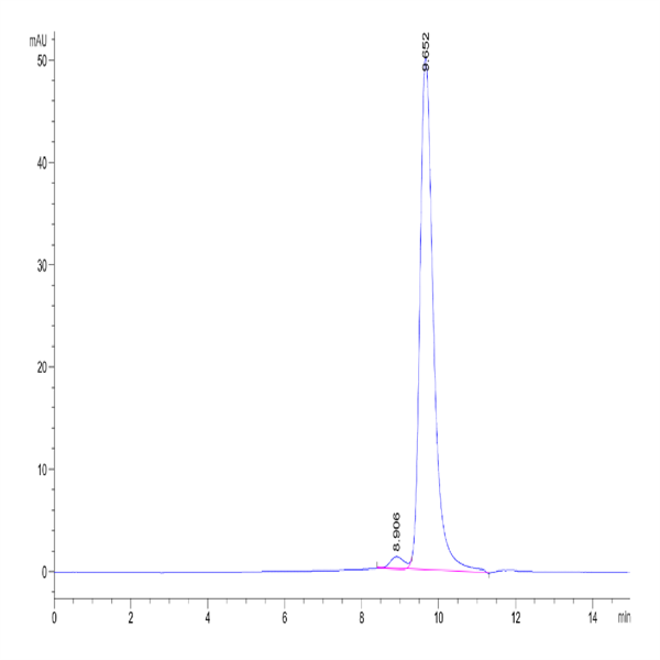 Mouse Hyaluronidase 2/HYAL2 Protein (HYA-MM101)