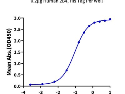 Human 2B4/CD244/SLAMF4 Protein, 2B4-HM101 Ushelf