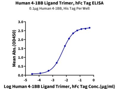 Human 4-1BB Ligand/TNFSF9 Trimer Protein , BBL-HM241 Ushelf