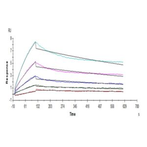 Human ACE2/ACEH Protein, ACE-HM101 Ushelf