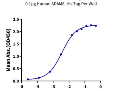 Human ADAM8 Protein, ADM-HM108 Ushelf