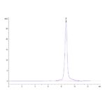 Human AGER Protein, AER-HM101