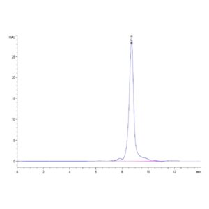 Human AGER Protein, AER-HM101 Ushelf