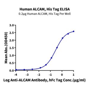 Human ALCAM/CD166 Protein , ALC-HM101 Ushelf