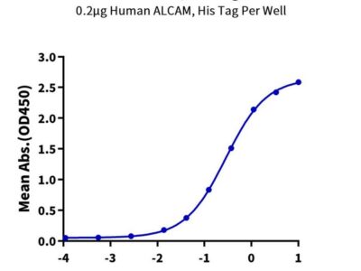 Human ALCAM/CD166 Protein , ALC-HM101 Ushelf