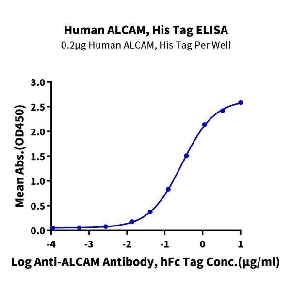 Human ALCAM/CD166 Protein , ALC-HM101 Ushelf