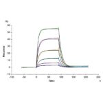 Human ALCAMCD166 Protein , ALC-HM201 Ushelf
