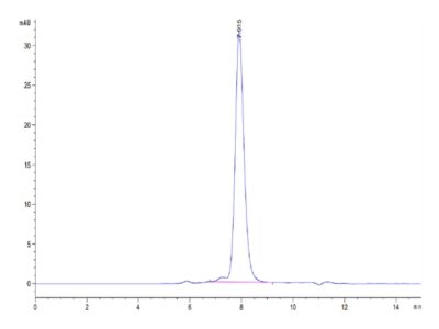 Human ALK-1/ACVRL1 Protein , ALK-HM101 Ushelf