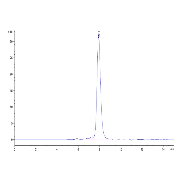 Human ALK-1/ACVRL1 Protein , ALK-HM101 Ushelf