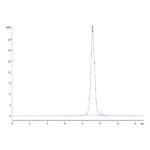 Human AMCaseCHIA Protein , AMC-HM101