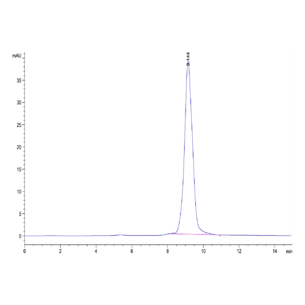 Human AMCaseCHIA Protein , AMC-HM101 Human AMCase/CHIA Protein , AMC-HM101 Ushelf