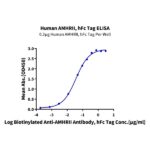 Human AMHRII Protein , AMH-HM2R2