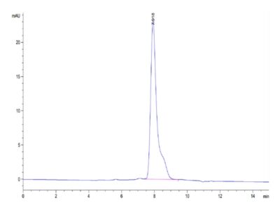 Human AMIGO2 Protein , AMI-HM102 Ushelf