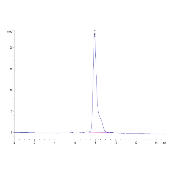 Human AMIGO2 Protein , AMI-HM102 Human AMIGO2 Protein , AMI-HM102 Ushelf