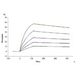 Human ANGPTL3Angiopoietin-like 3 Protein , ANG-HM103