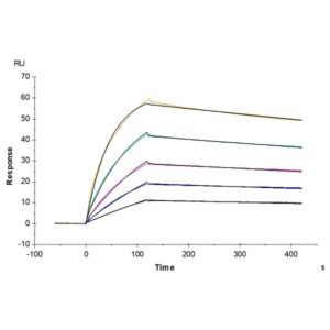 Human ANGPTL3/Angiopoietin-like 3 Protein , ANG-HM103 Ushelf