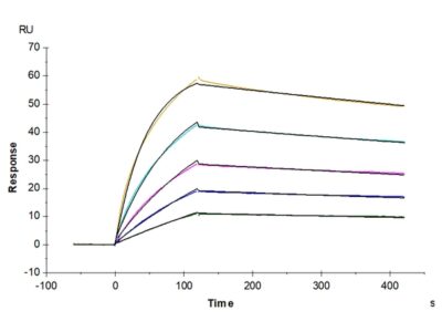 Human ANGPTL3/Angiopoietin-like 3 Protein , ANG-HM103 Ushelf