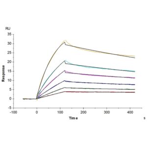 Human ANGPTL4/Angiopoietin-like 4 Protein , ANG-HM1L4 Ushelf