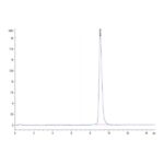 Human ANTXR2 Protein , ANT-HM1R2