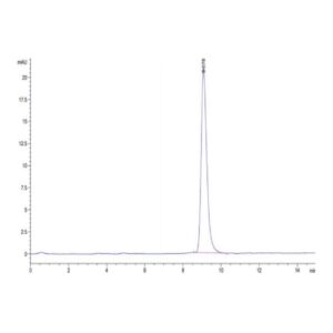 Human ANTXR2 Protein , ANT-HM1R2 Ushelf