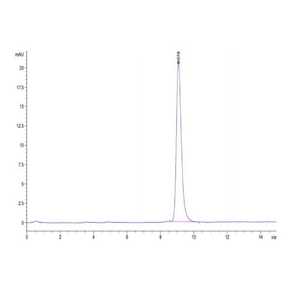 Human ANTXR2 Protein , ANT-HM1R2 Human ANTXR2 Protein , ANT-HM1R2 Ushelf