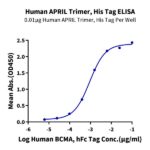 Human APRILTNFSF13 Trimer Protein , APR-HM110