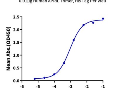 Human APRIL/TNFSF13 Trimer Protein , APR-HM110 Ushelf