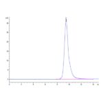 Human ASGR1 Protein , ASG-HM1R1