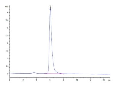Human Adiponectin/Acrp30 Protein, ADI-HM101 Ushelf