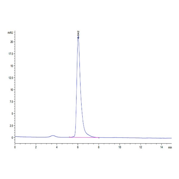 Human AdiponectinAcrp30 Protein, ADI-HM101 Human Adiponectin/Acrp30 Protein, ADI-HM101 Ushelf