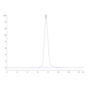 Human Aggrecan Protein , ARN-HM101 Ushelf