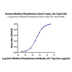 Human Alkaline Phosphatase (Germ type) /ALPG Protein (APE-HM103)