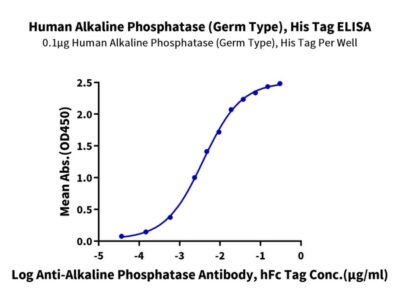 Human Alkaline Phosphatase (Germ type) /ALPG Protein (APE-HM103)